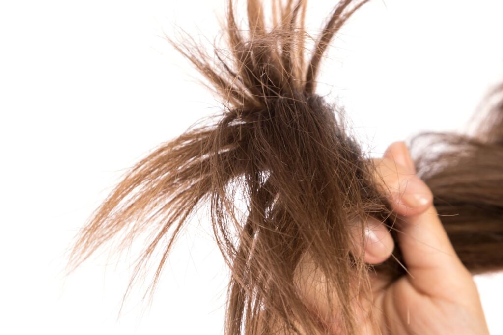 gros plans sur pointes des cheveux fourchus, abîmés et secs