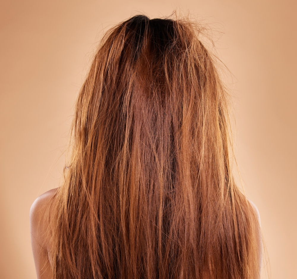 Quels nutriments pour les cheveux cassants ?