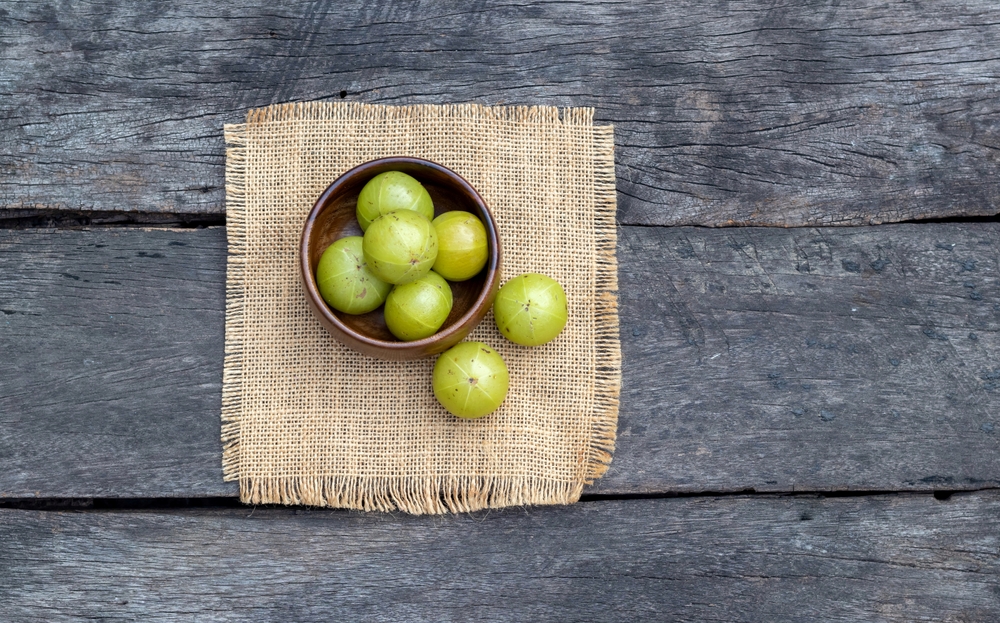 Quelles plantes pour fortifier des cheveux secs et cassants ?