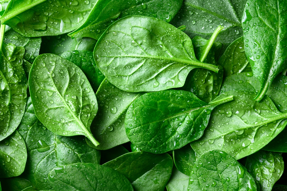 Quels aliments consommer pour avoir de beaux cheveux ?