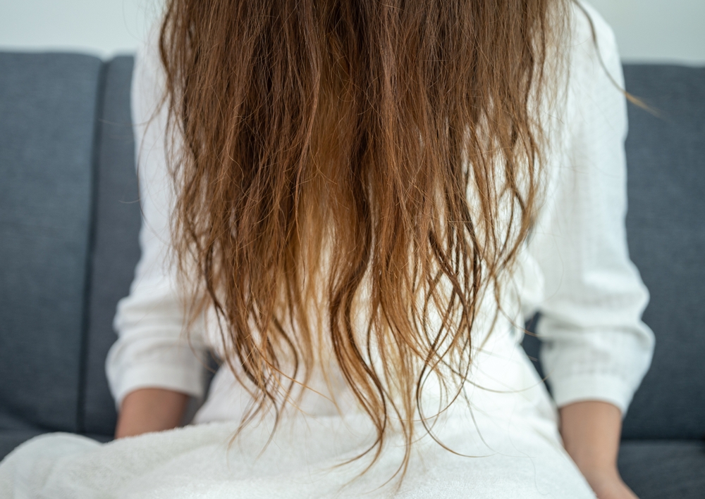 Quelles carences rendent les cheveux ternes ?